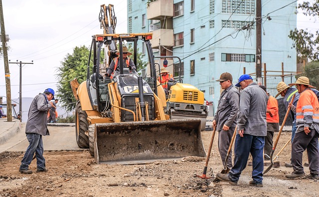 Bobcat v akci