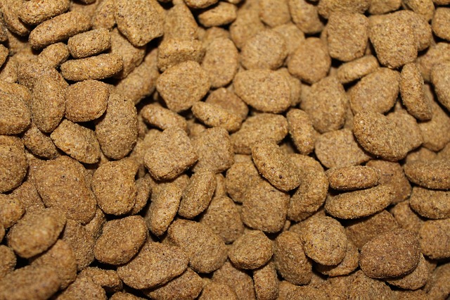 psí granule